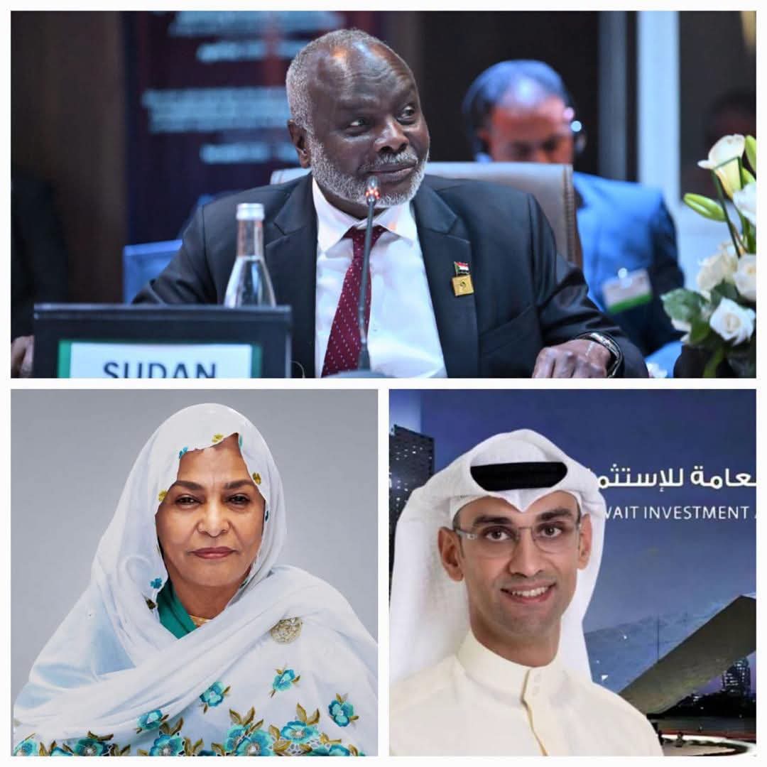 وزير المالية يبحث مع الهيئة العامة للاستثمار الكويتية تعزيز التعاون الاقتصادي والاستثماري